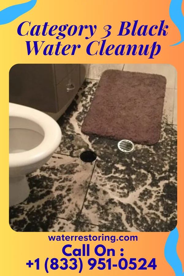 Category 3 Black Water Cleanup in Michigan City, IN