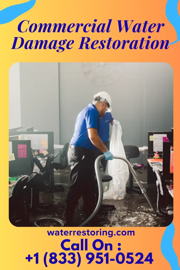 Commercial Water Damage Restoration in Michigan City, IN