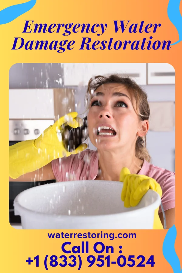 Emergency Water Damage Restoration in Michigan City, IN