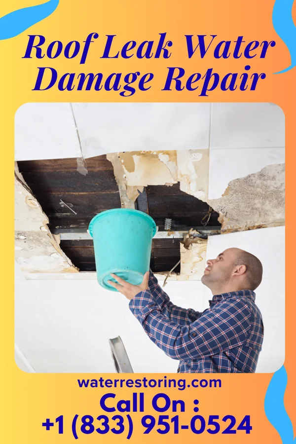 Roof Leak Water Damage Repair in Michigan City, IN
