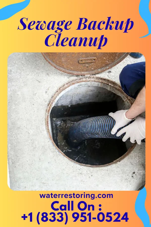 Sewage Backup Cleanup in Michigan City, IN